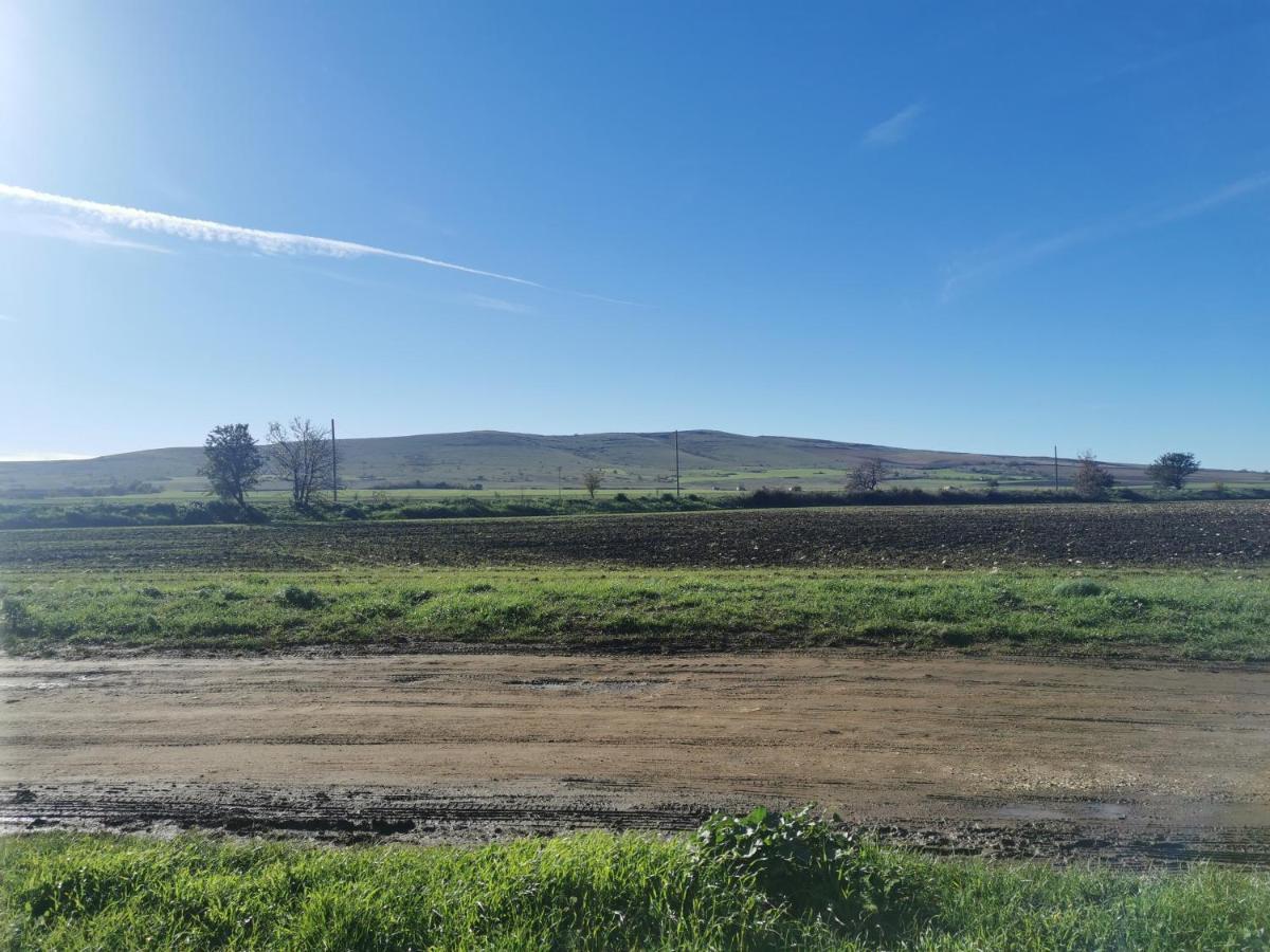 קסטל דל מונטה Masseria Tarantini מראה חיצוני תמונה